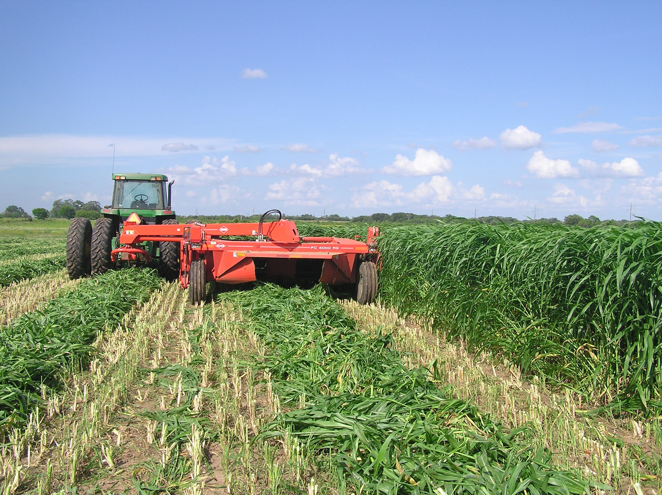 NITRO BMR SUDANGRASS